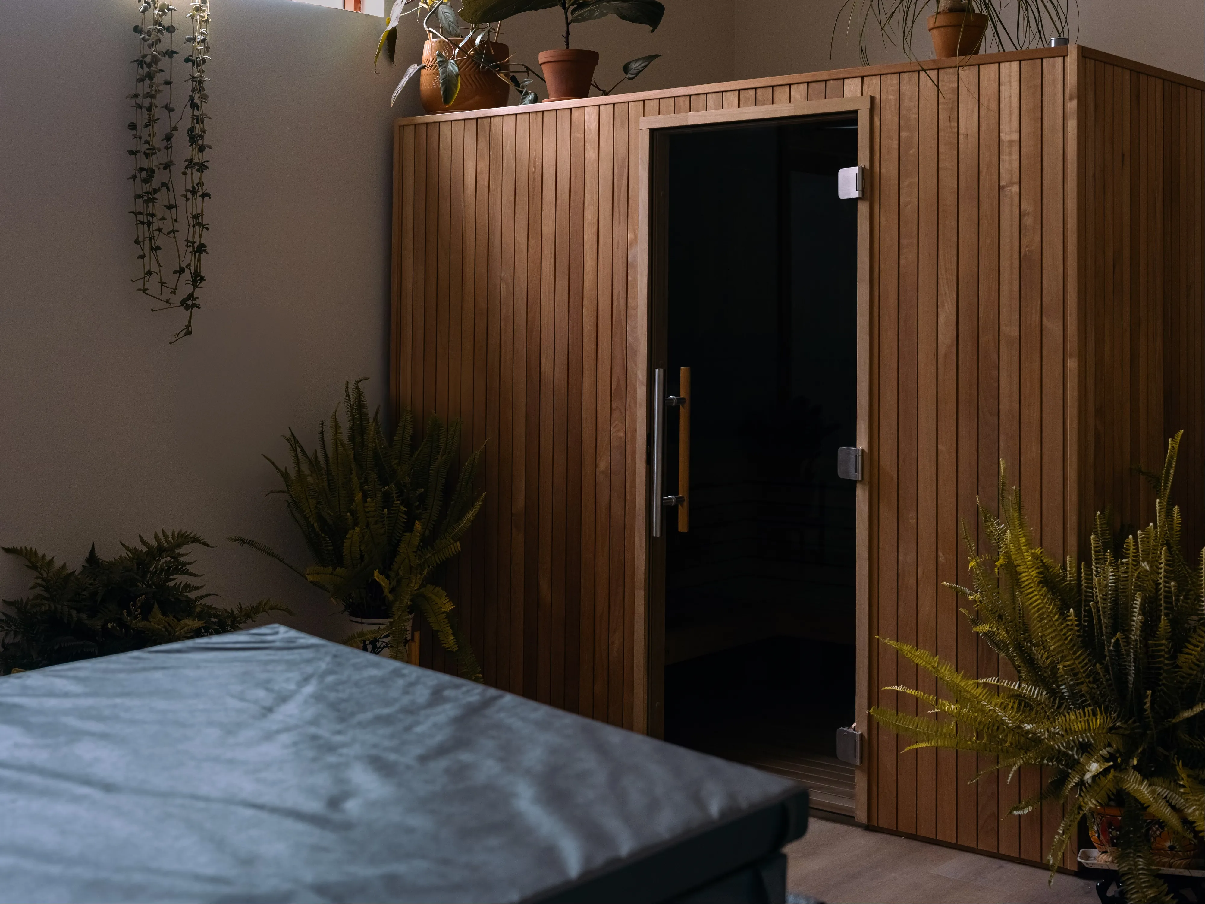 The cedar sauna in The Barn's Recovery Room, door open and warmly lit, surrounded by ferns