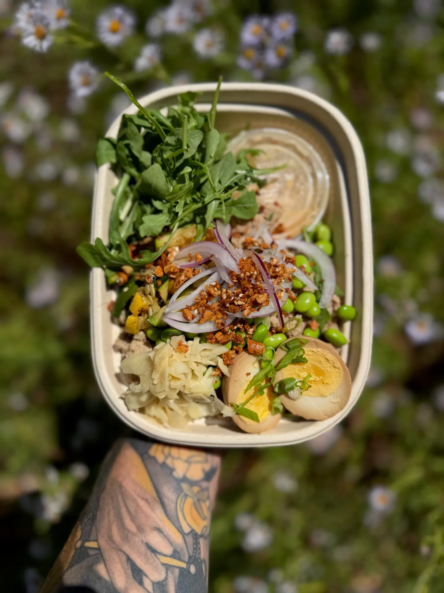 Wylde Provisions bowl with arugula, marinated onion, edamame, and jammy egg